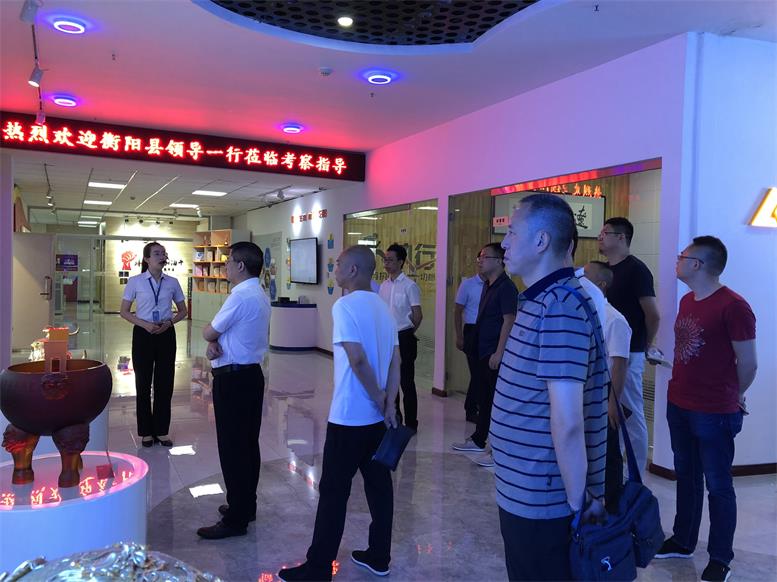 湖南省衡阳县常务副县长王苏龙一行莅临bti体育集团考察财路大数据项目