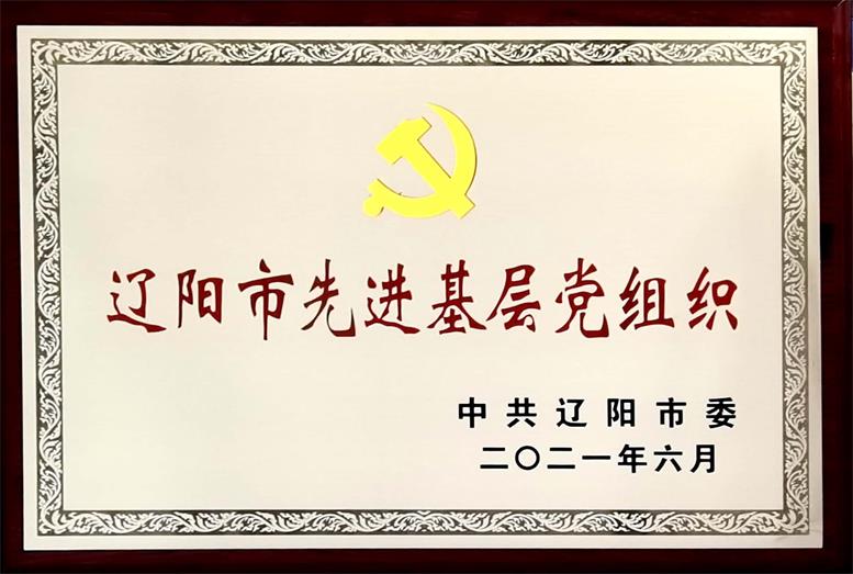 bti体育集团荣获“辽阳市先进下层党组织”称呼